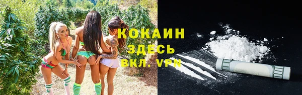 спайс Алзамай