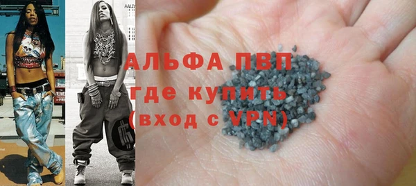 стаф Алексин